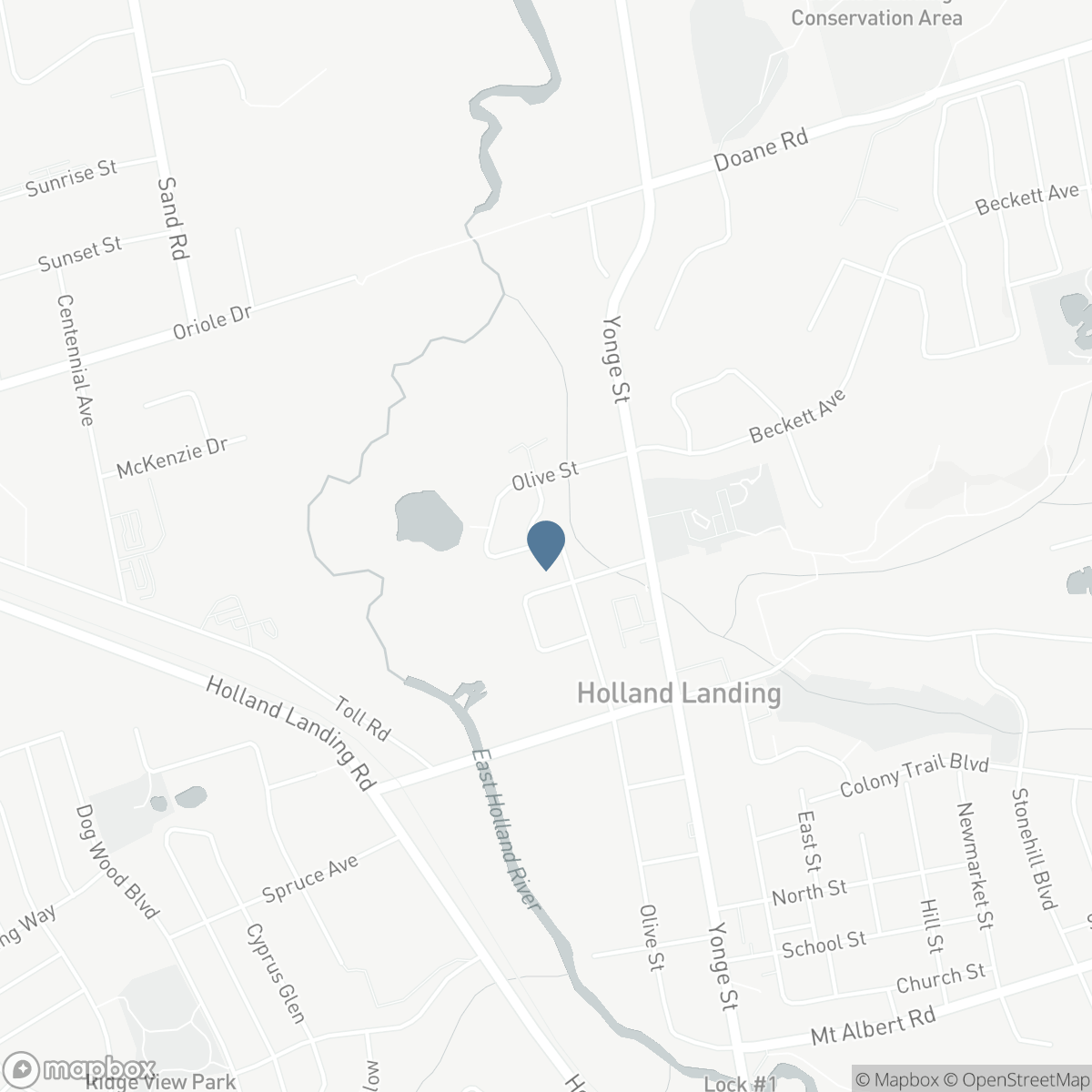 128 OLIVE STREET, East Gwillimbury, Ontario L9N 1M2